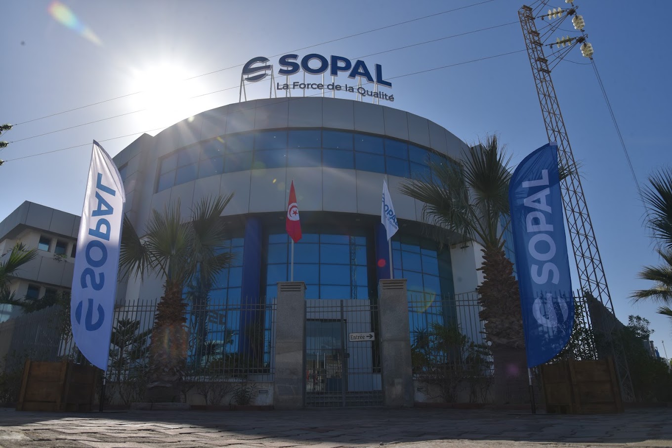 sopal